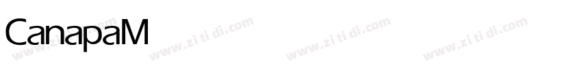 Canapa Medium字体转换